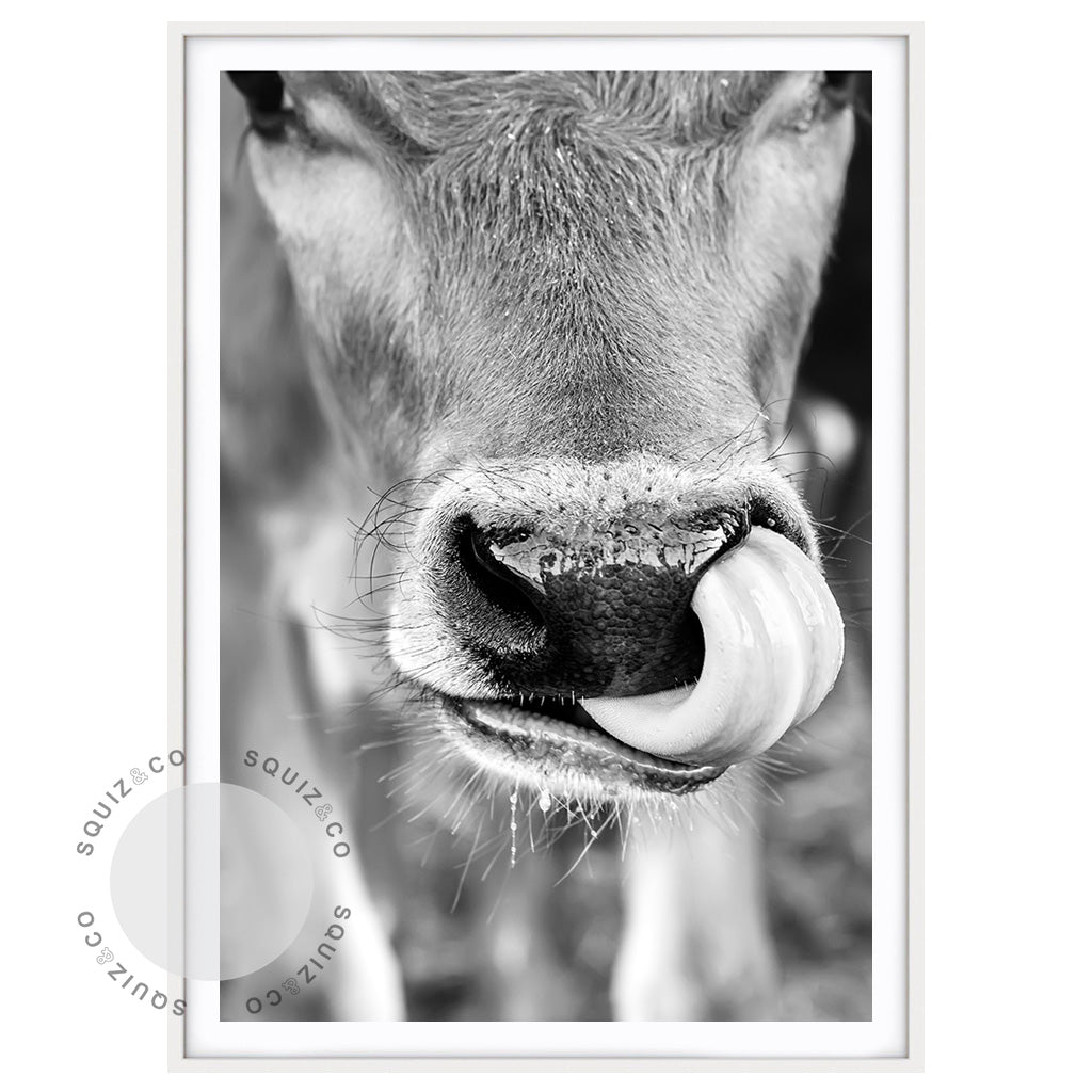 Moo Cow by Nancy Louise | Photo Print