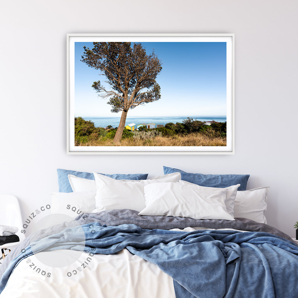 Mount Martha Banksia by Nancy Louise I Photo Print